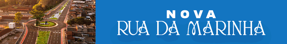 https://www.pa.gov.br/