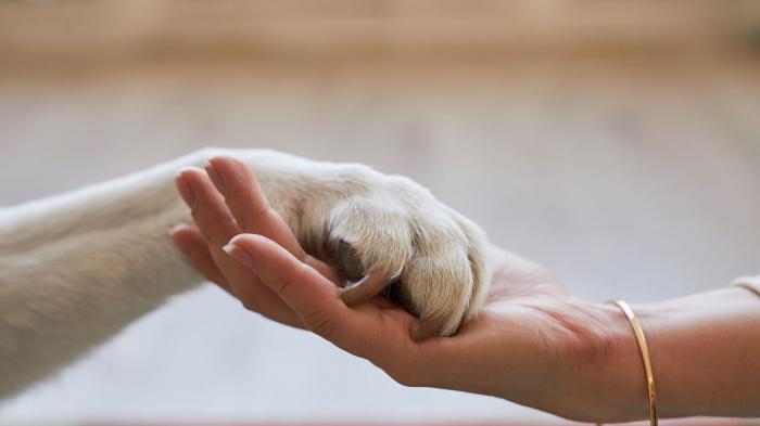 Rede Metrópole estreia coluna 