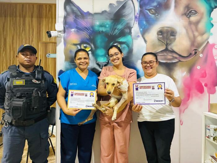 Cão 'charuto' resgatado após maus-tratos recebe alta e busca no lar