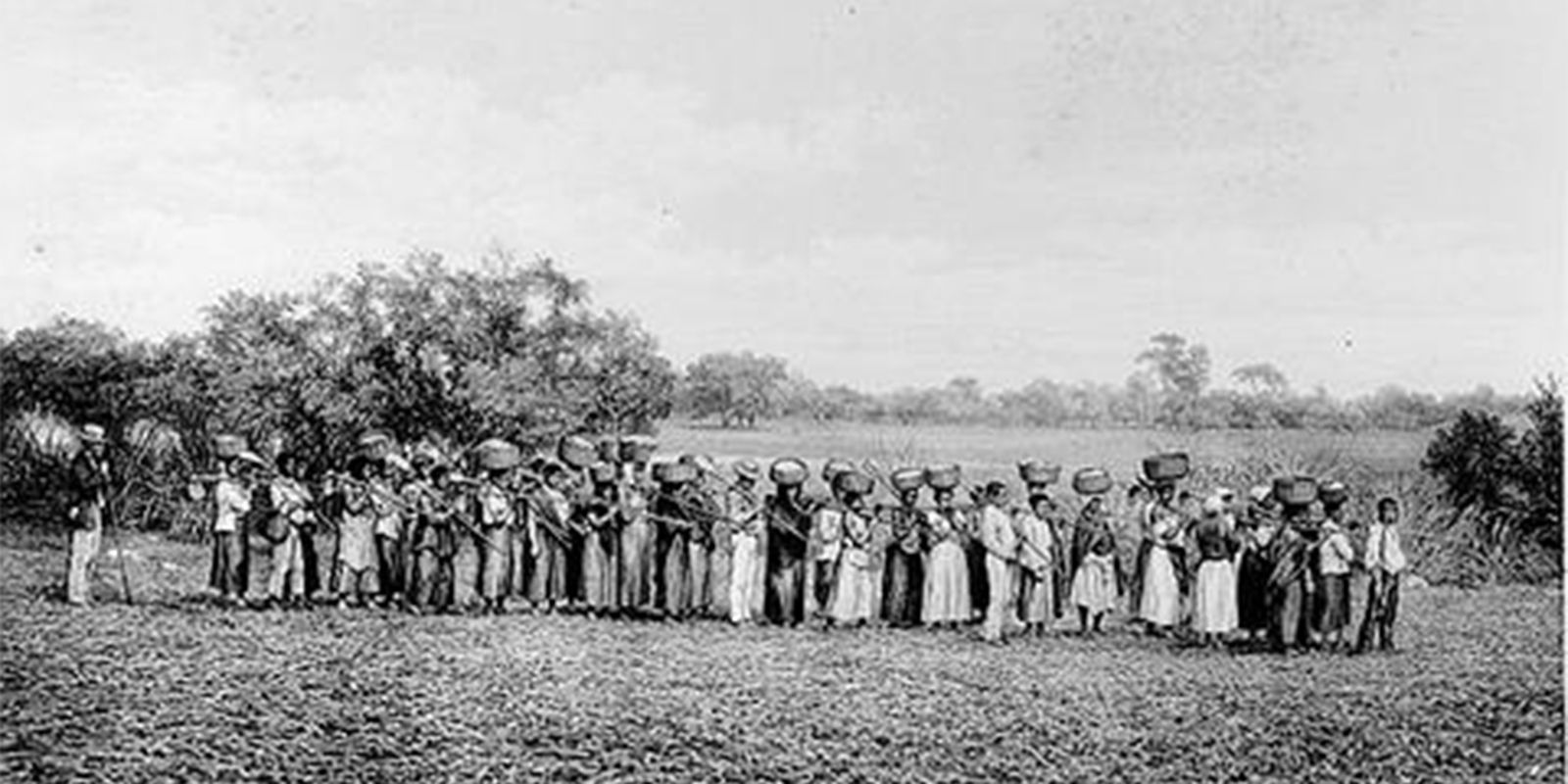 Maioria de empresários que apoiou ditadura vem de famílias escravistas