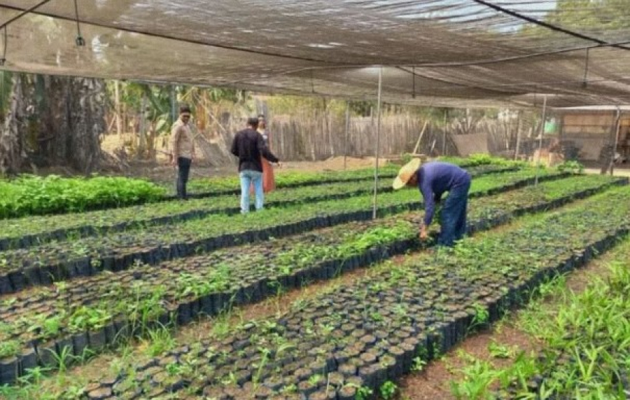 Associações rurais ampliam produção e projetam novos mercados no Sudeste do Pará
