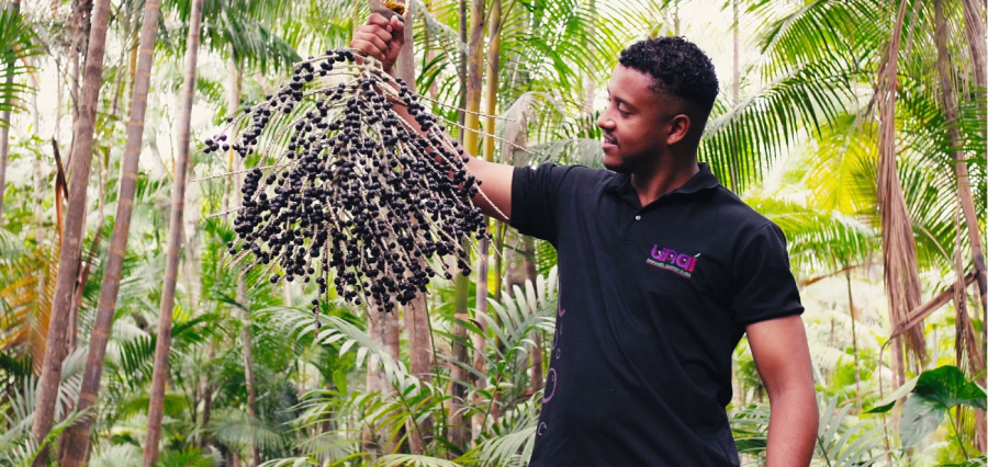 Da Amazônia ao mundo: paraense transforma resíduo do açaí em solução global