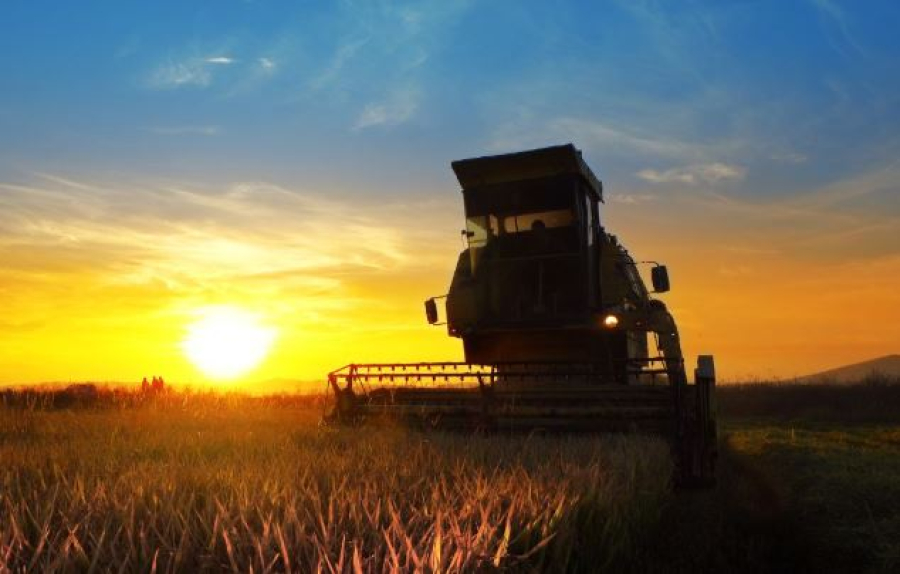 Senado aprova uso do Fundo do Pré-Sal para dívidas do agro