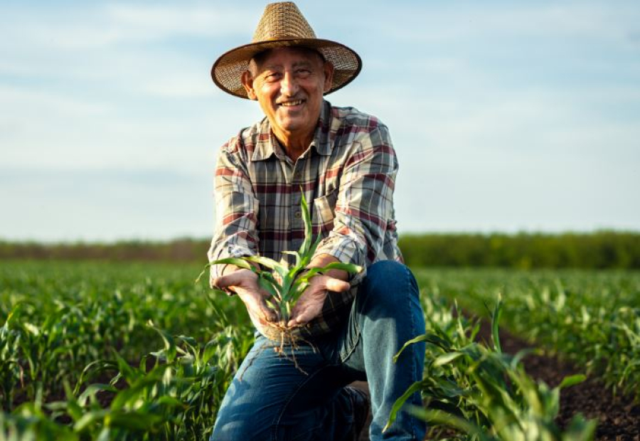 Agricultores familiares aumentam renda em 30% com programa federal 