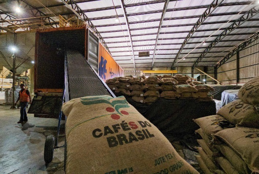 Brasil exporta menos café em volume, mas mantém faturamento com preços elevados no mercado global