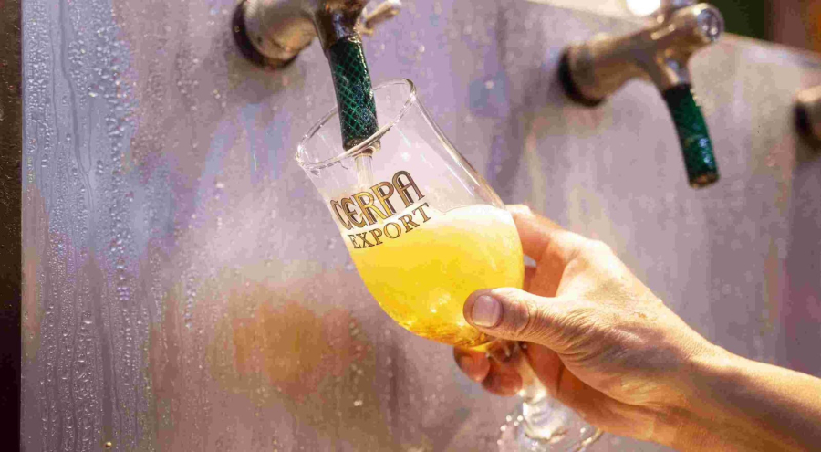 Do malte ao copo: curiosidades sobre a cerveja que muita gente ainda não conhece 