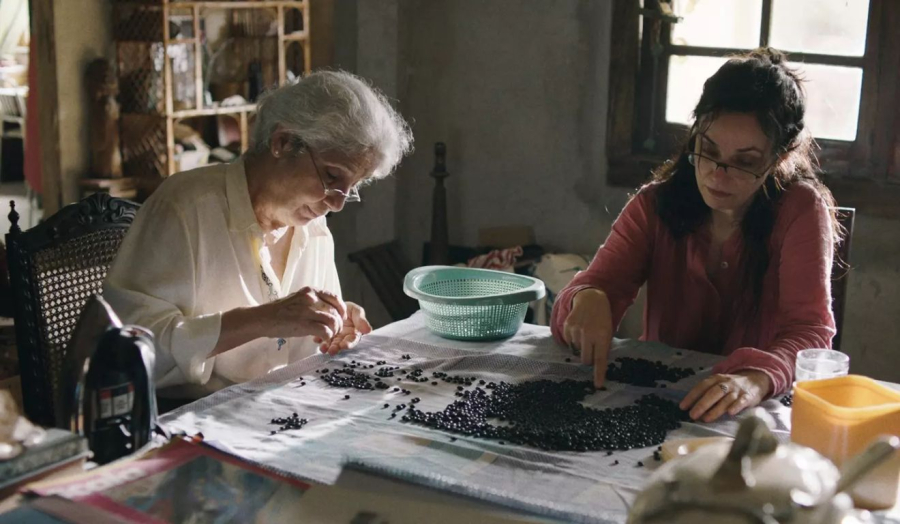 Sesc Ver-o-Peso exibe filme brasileiro premiado “Malu”